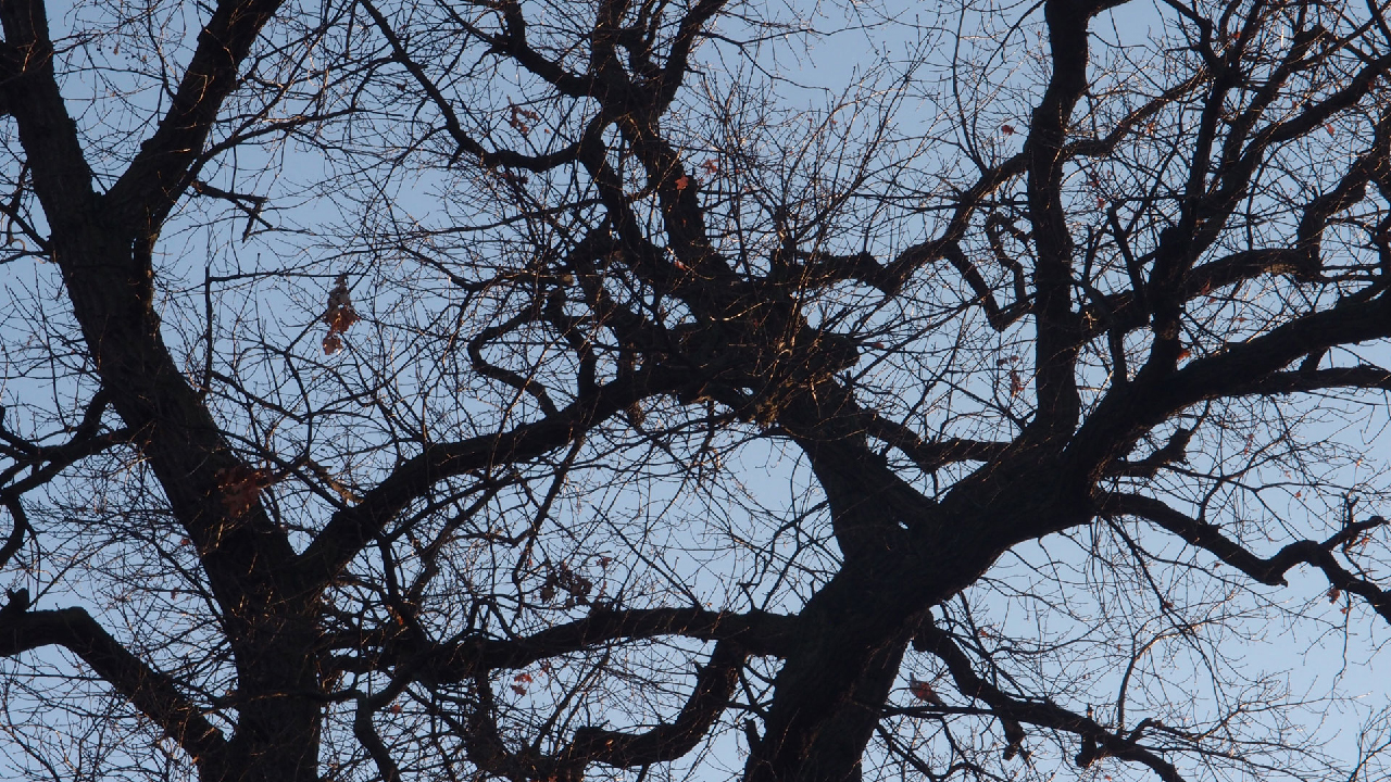 2020-12-26 Kühlgeträt (On/Off) (Remix John Cage - Empty Words IV)